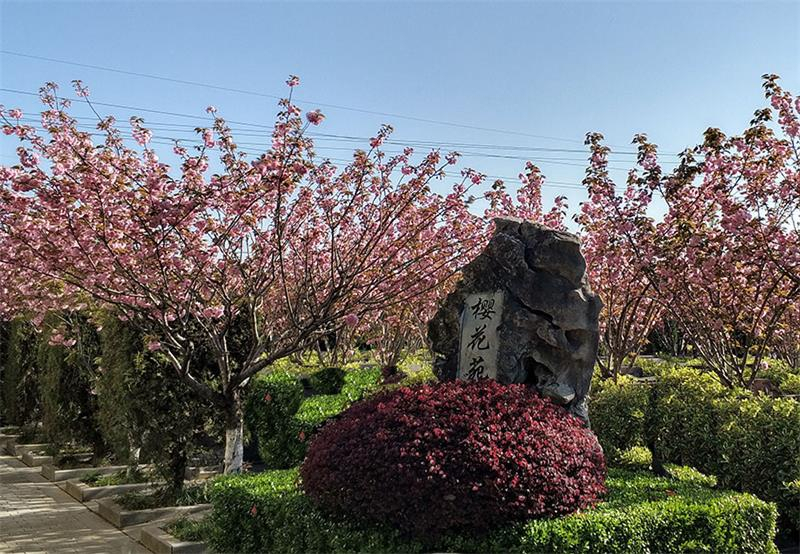 上海浦南陵园怎么样？地址在哪里？